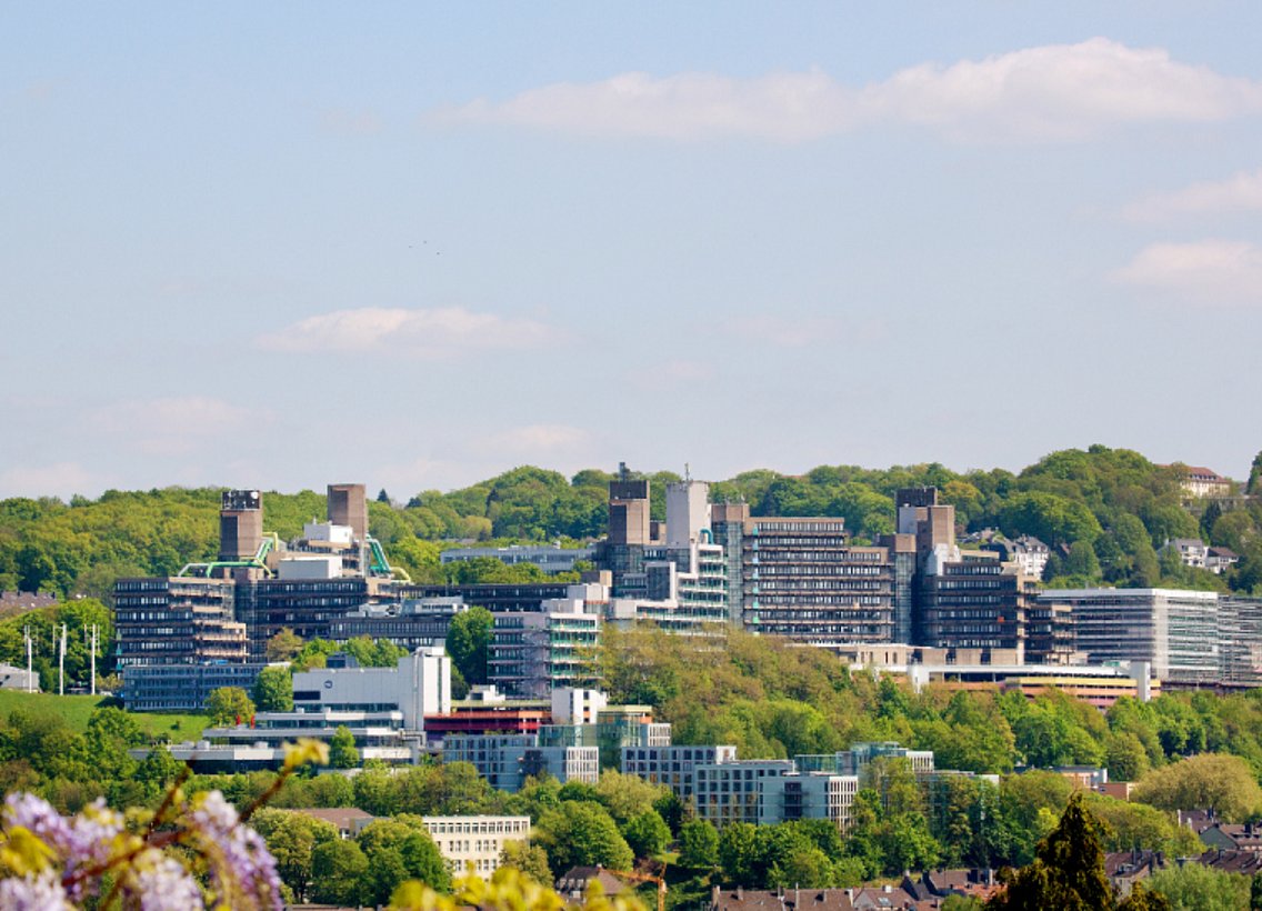 Blick auf den Grifflenberg