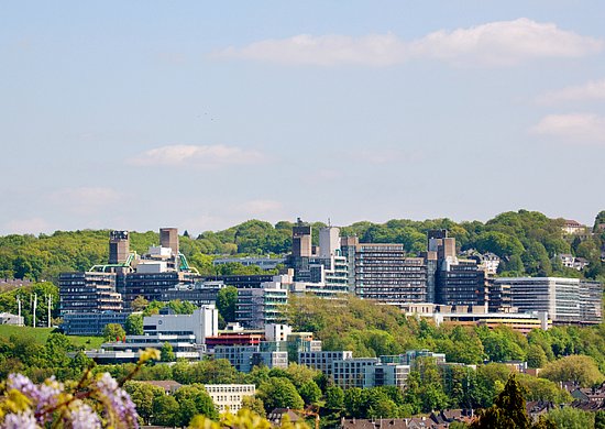 Blick auf den Grifflenberg